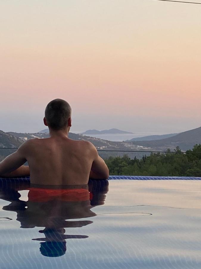 Vilă La Celine- Xlarge Complete Privacy In Nature, Pool With Wonderful View